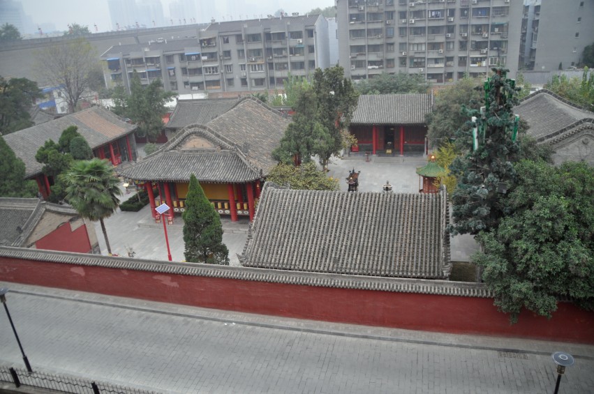 DSC_0212_conew1.jpg