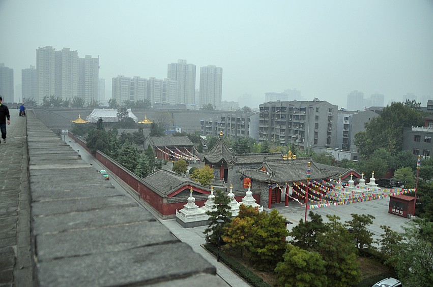 DSC_0220_conew1.jpg