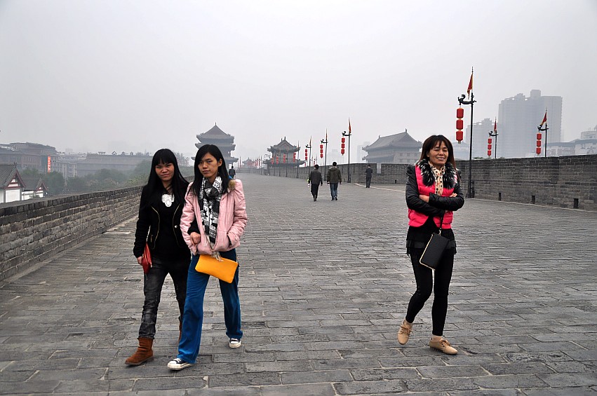 DSC_0241_conew1.jpg