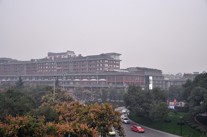 DSC_0245_conew1.jpg