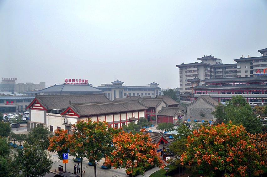 DSC_0246_conew1.jpg