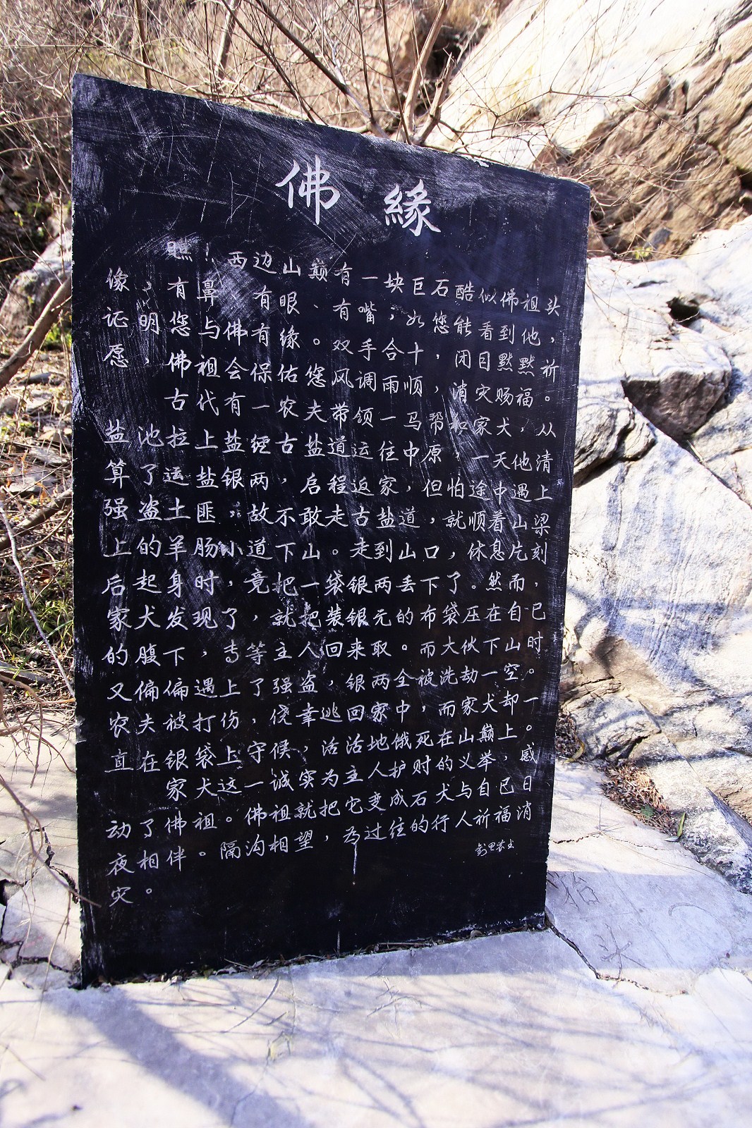 03.jpg