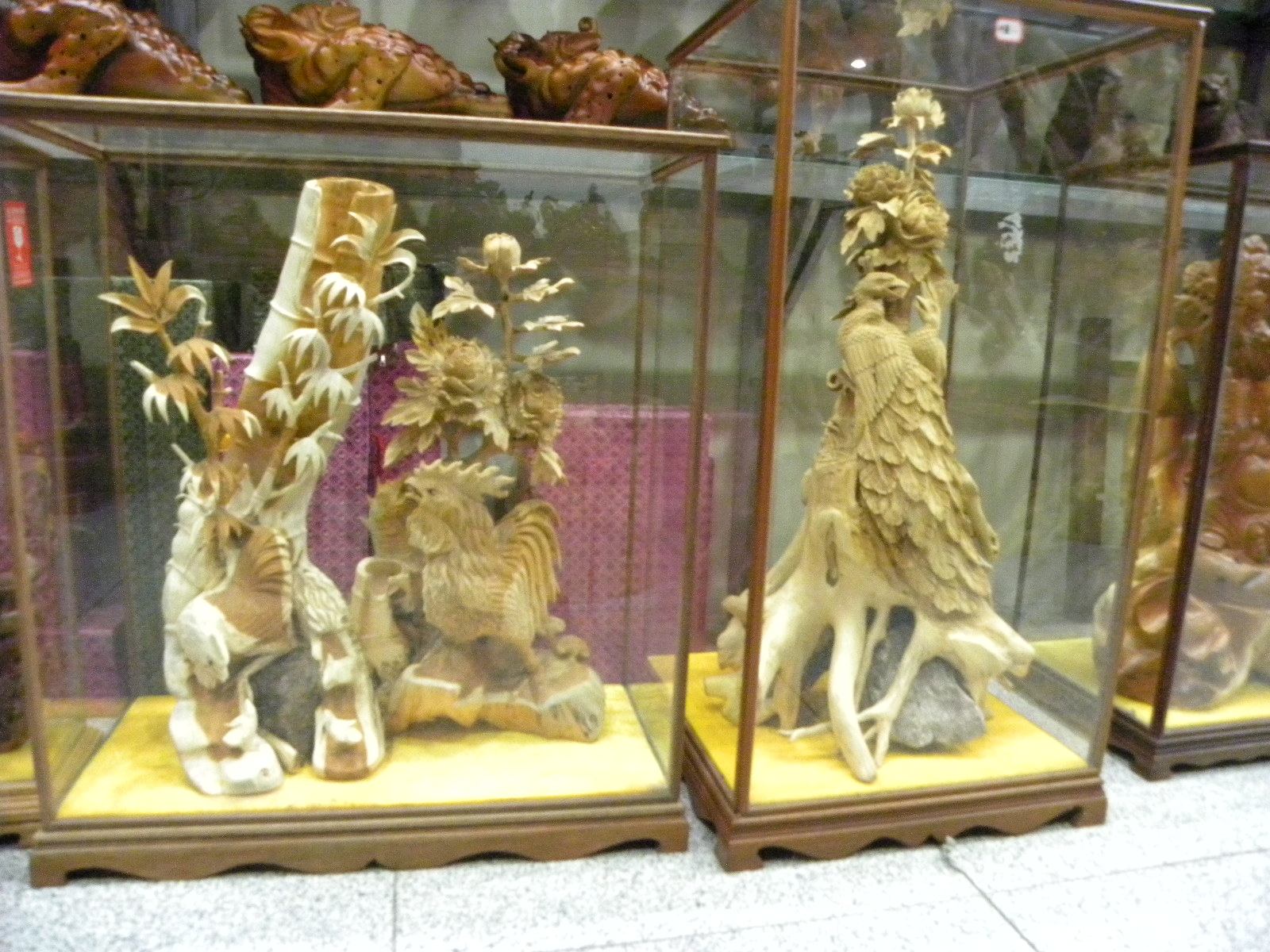 DSCN6229.JPG