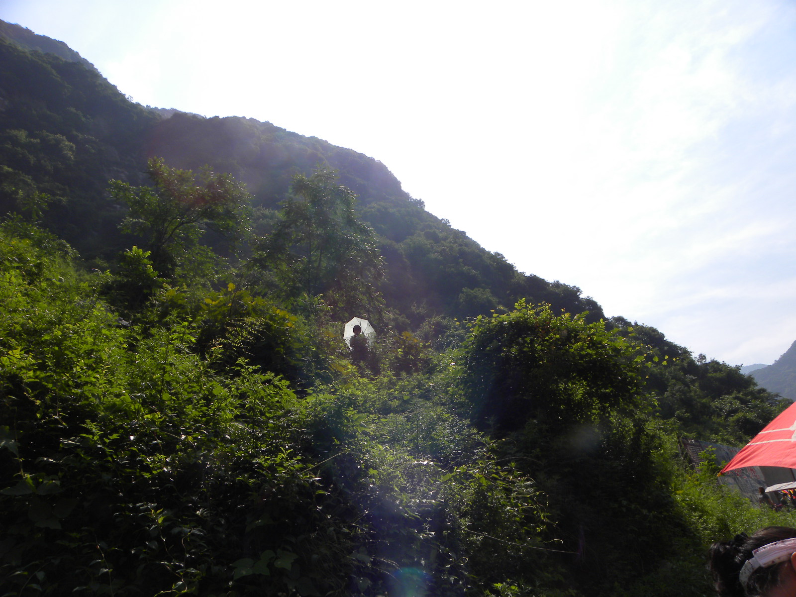 DSCN1207.JPG