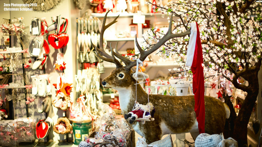 1 F39A3432rp_副本.jpg