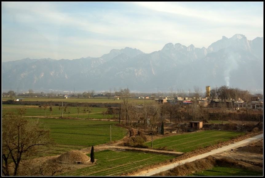 DSC_1002_conew1.jpg