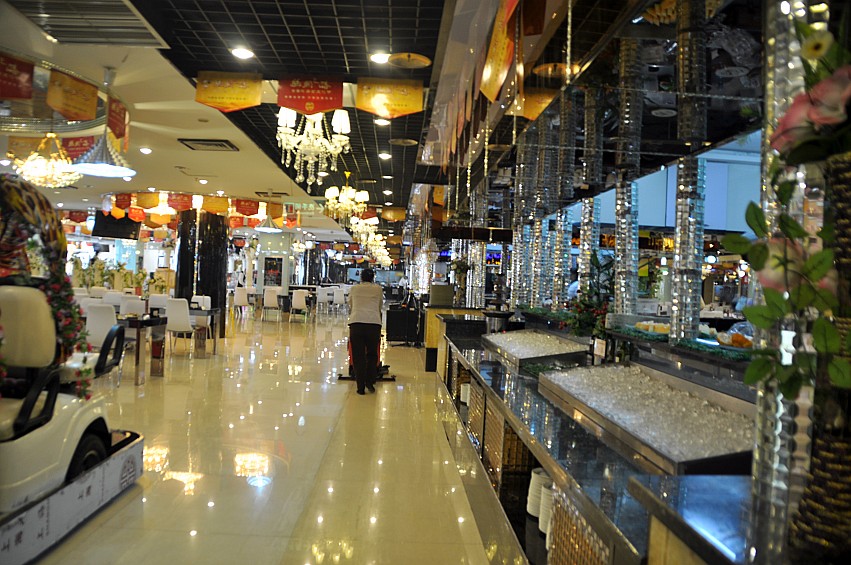DSC_0012_conew1.jpg