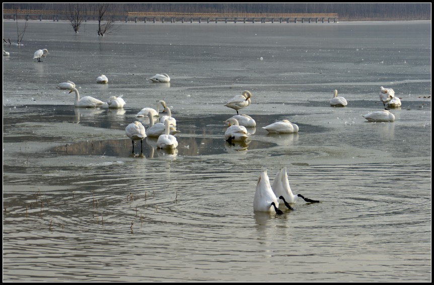 DSC_0745_conew1.jpg