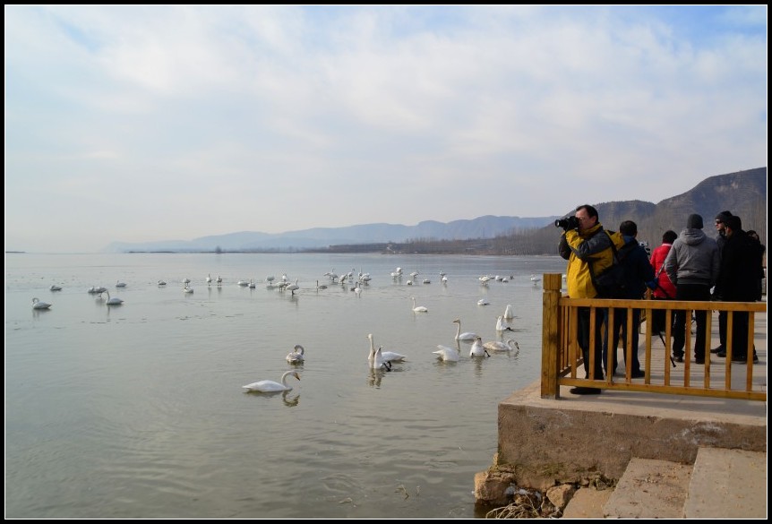 DSC_0775_conew2.jpg