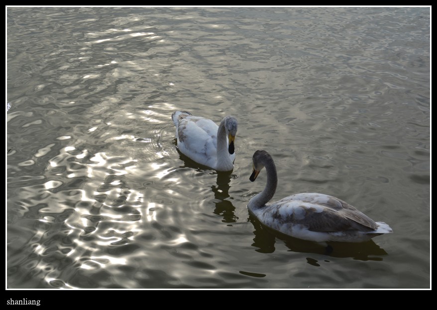 DSC_0796_conew1.jpg
