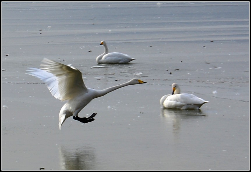 DSC_0829_conew3.jpg