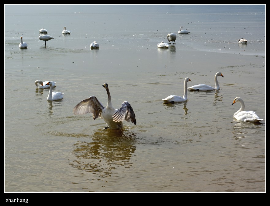 DSC_0814_conew1.JPG