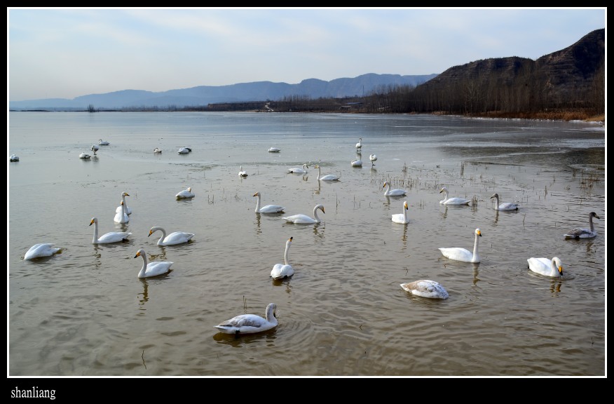 DSC_0819_conew1.JPG