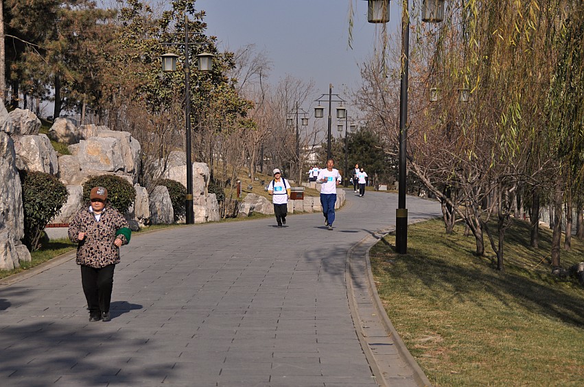 DSC_0061_conew1.jpg