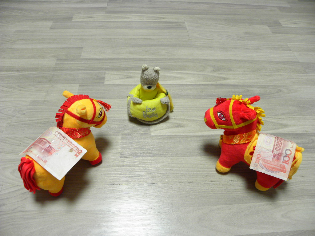 DSCN0938.JPG