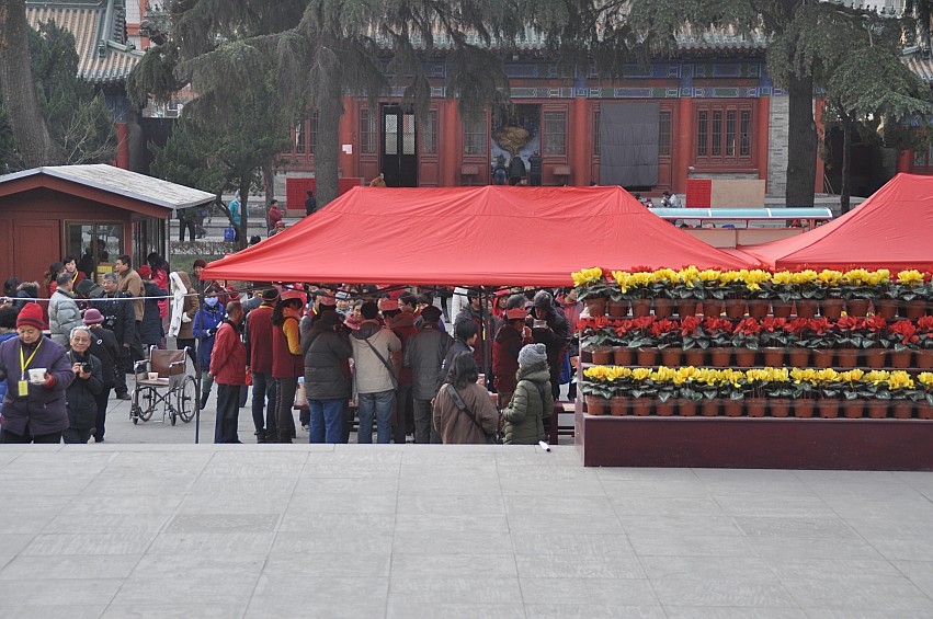 DSC_0017_conew1.jpg