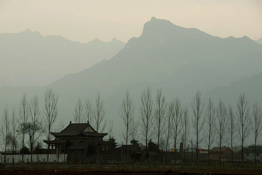 西明寺 (67).JPG