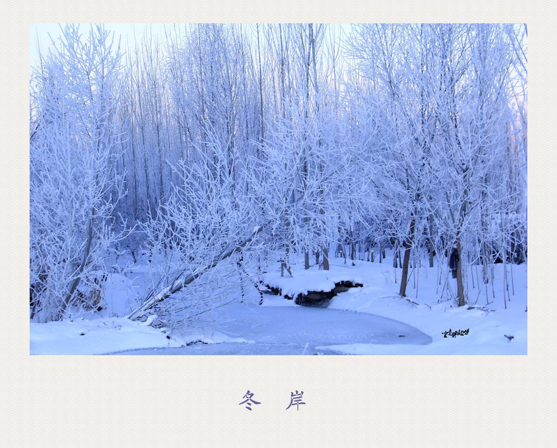 照片 005_副本_副本.jpg