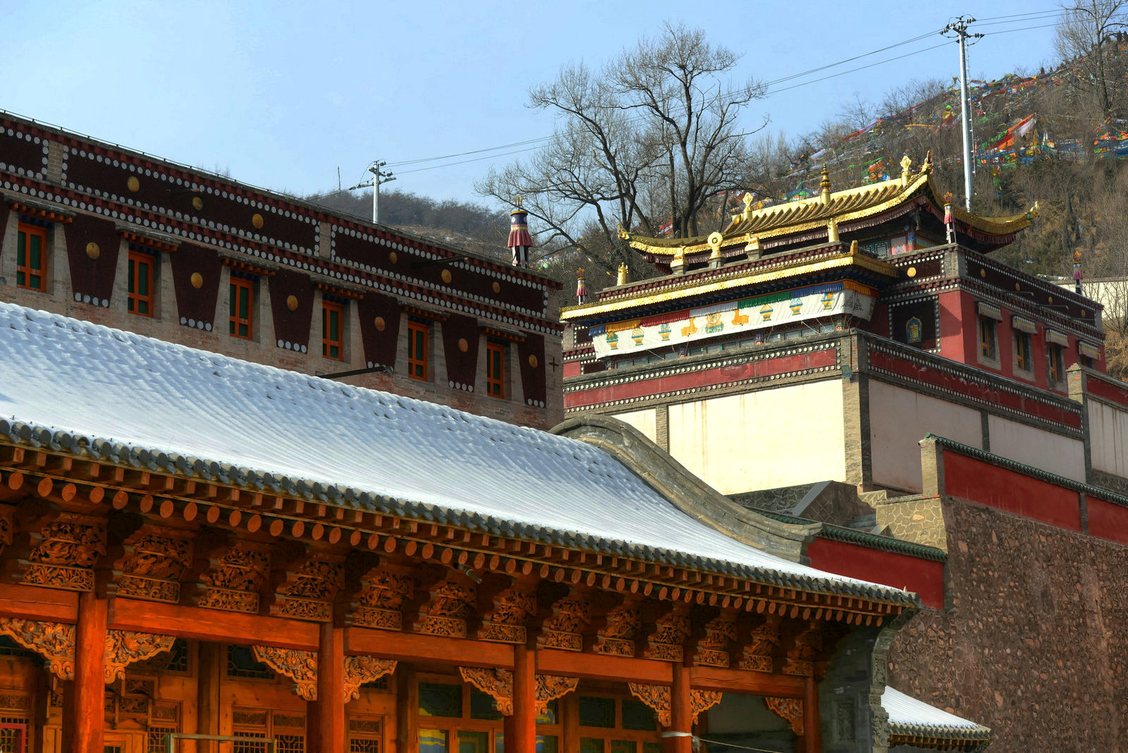 ZJF_9759_副本.jpg