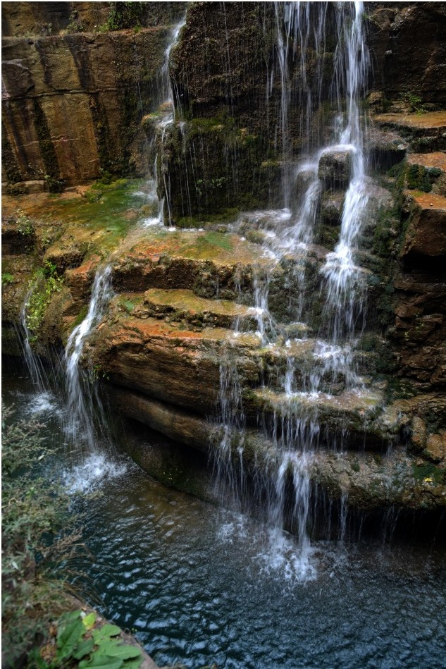 DSC_1181_conew2.jpg