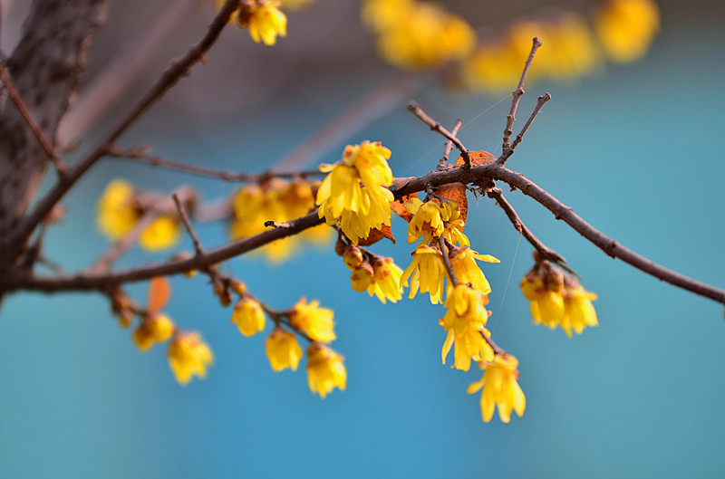 大慈恩寺公园人像习作 044_副本.jpg