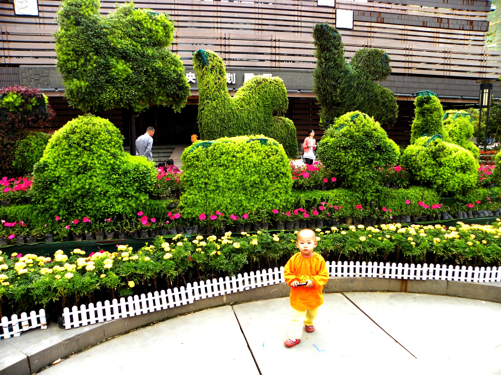 DSCN9717.JPG