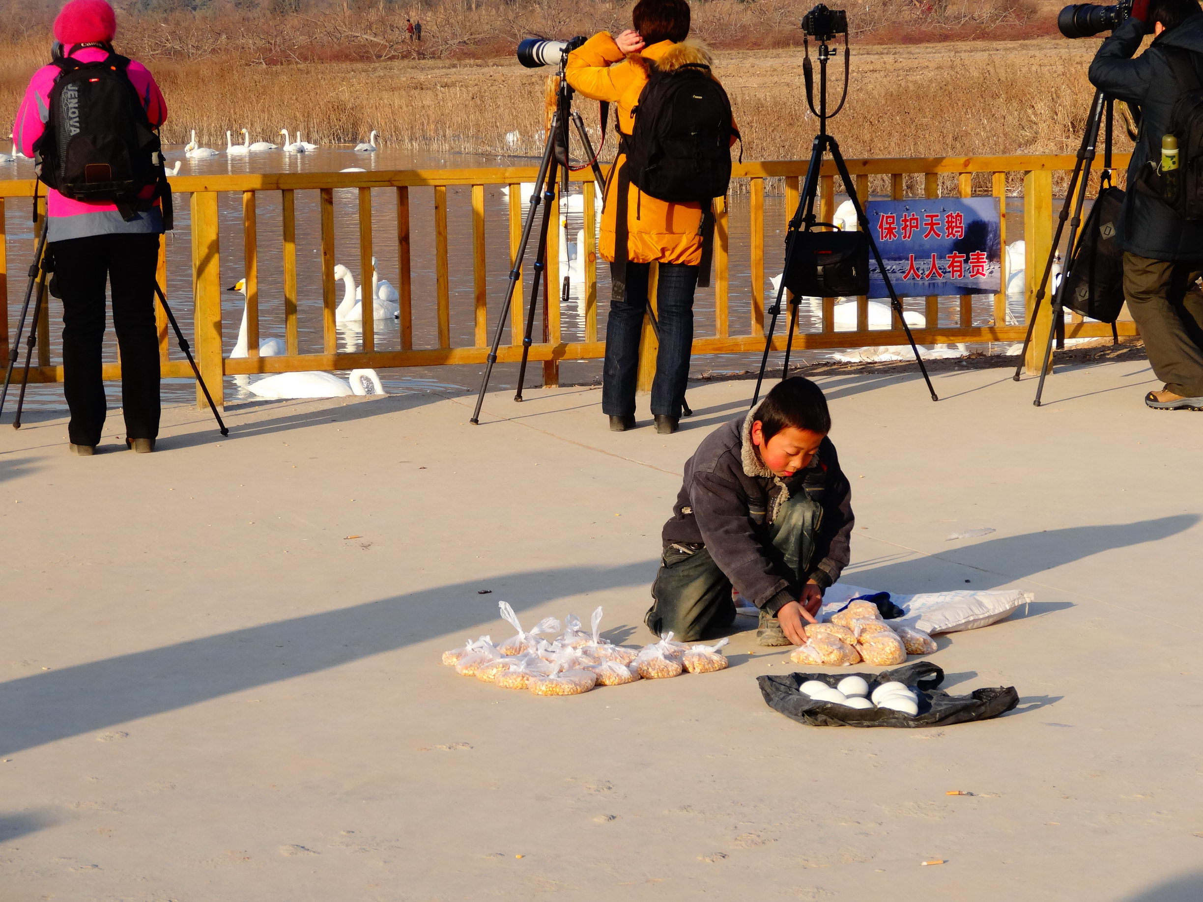 DSC09385_调整大小.jpg
