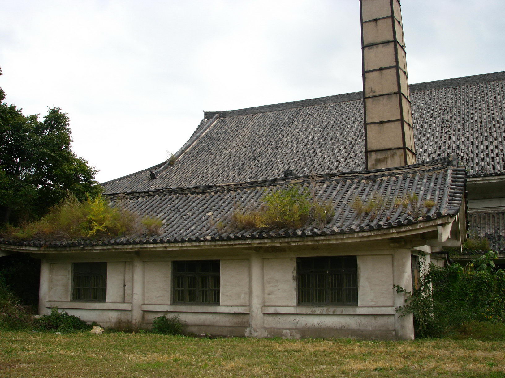 IMG_1104_调整大小.jpg