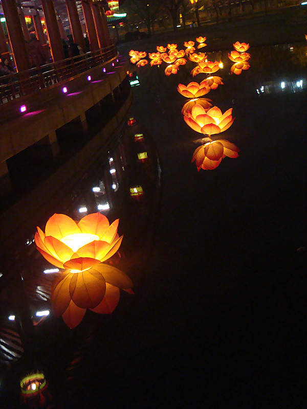 DSC08719_副本.jpg