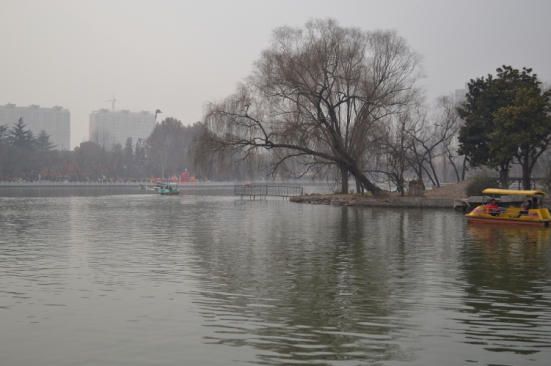 DSC_0055_编辑.jpg