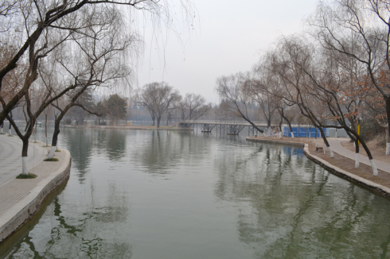 DSC_0091.jpg
