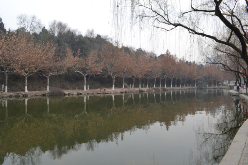 DSC_0150.jpg