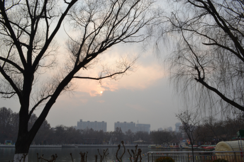 DSC_0174_编辑.jpg