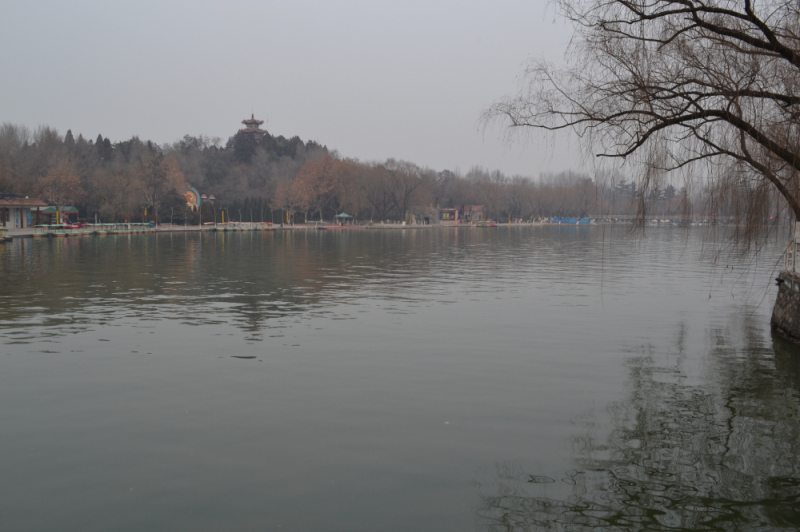 DSC_0204.jpg