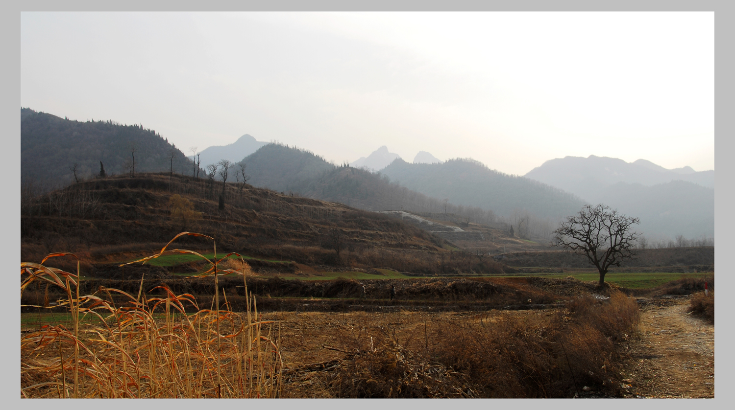 远山-xiao.jpg
