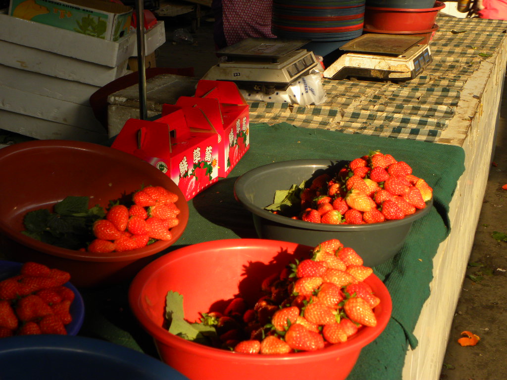 DSCN1693.JPG