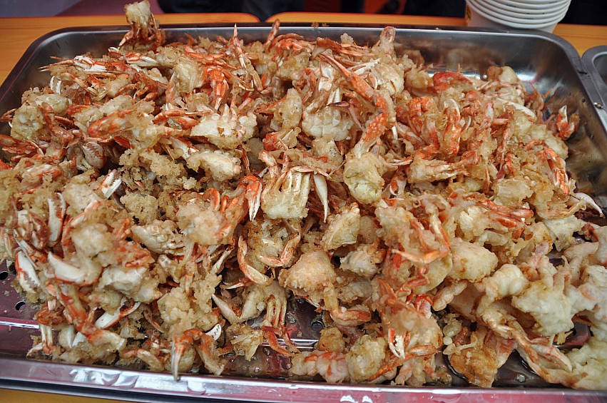 DSC_0014_conew1.jpg