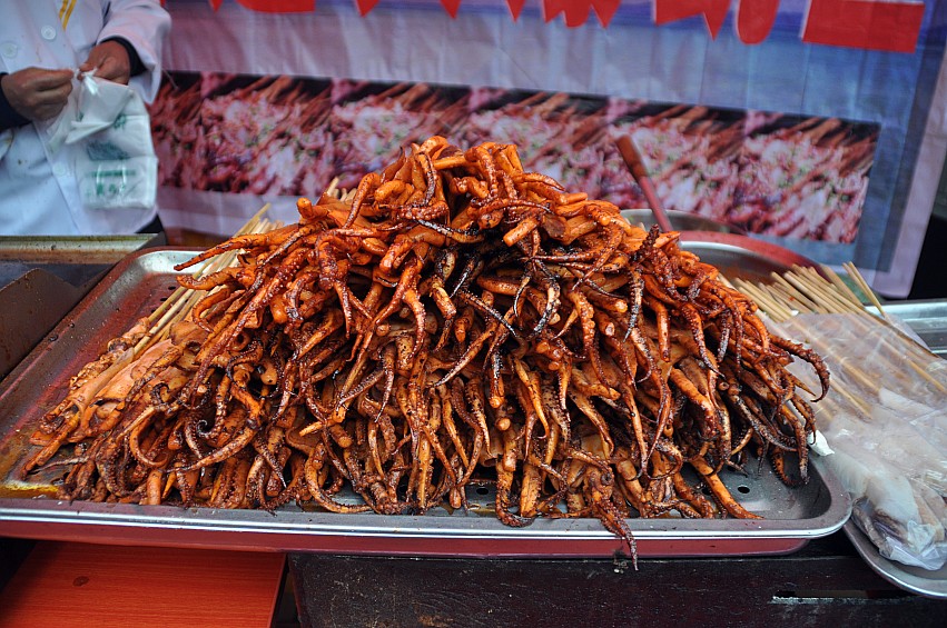 DSC_0018_conew1.jpg