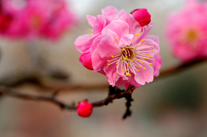 DSC_7144_副本_副本 - 副本.jpg