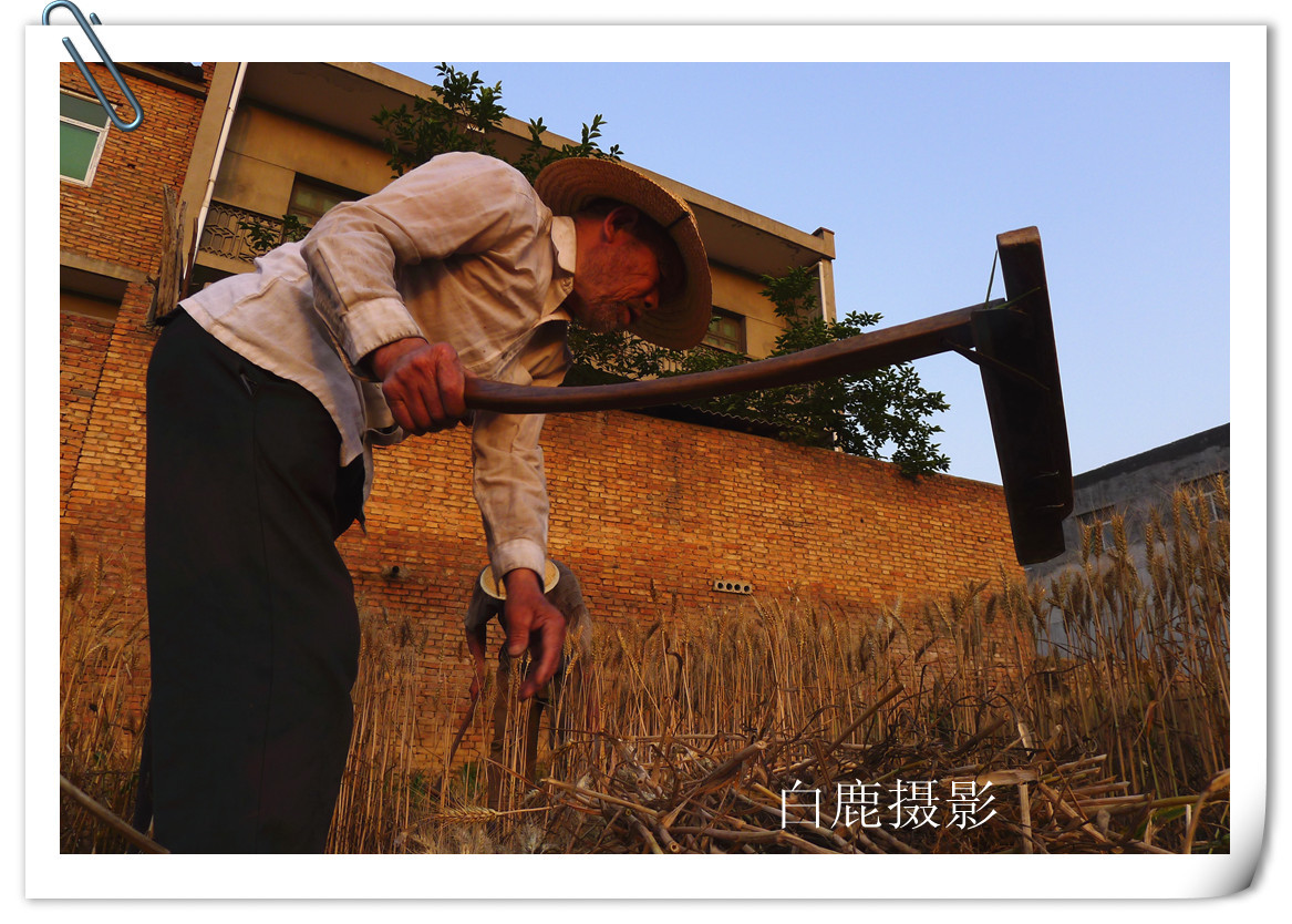P1180787_副本_副本.jpg
