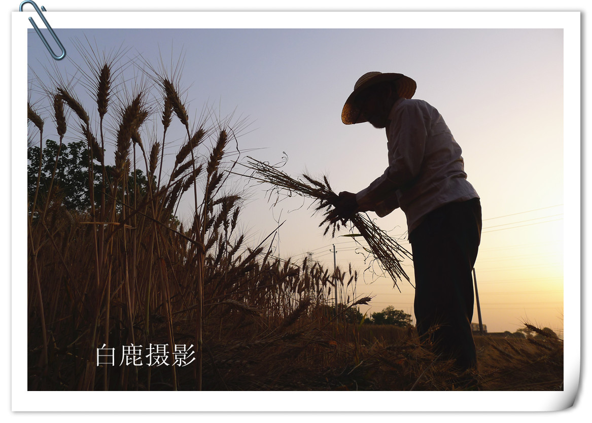 P1180774_副本_副本.jpg