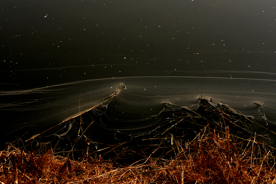 DSC_1585.JPG