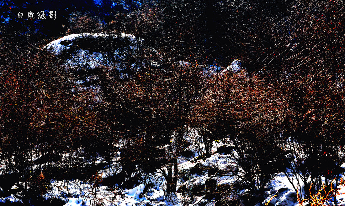 DSC_0076_副本.jpg