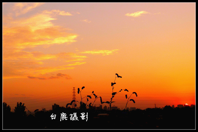 P1070178_副本.jpg