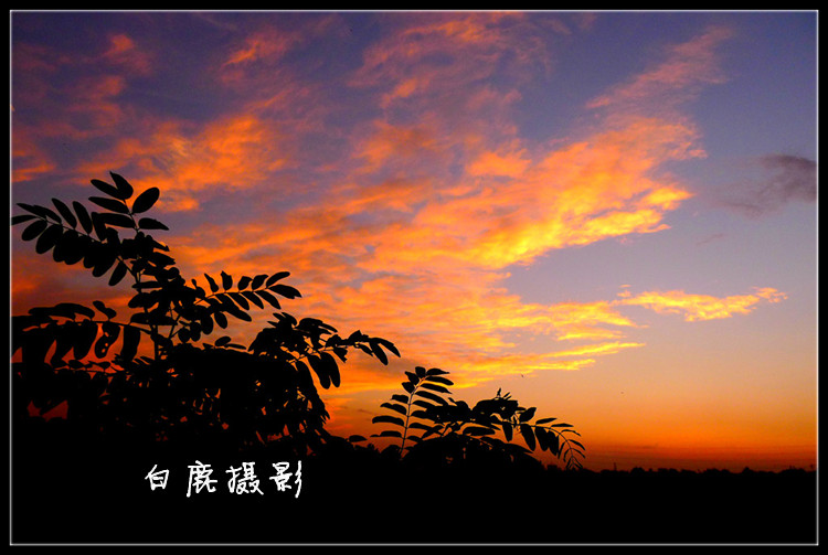 P1070204_副本.jpg
