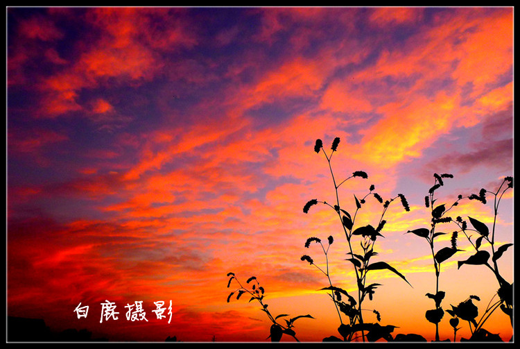 P1070213_副本.jpg