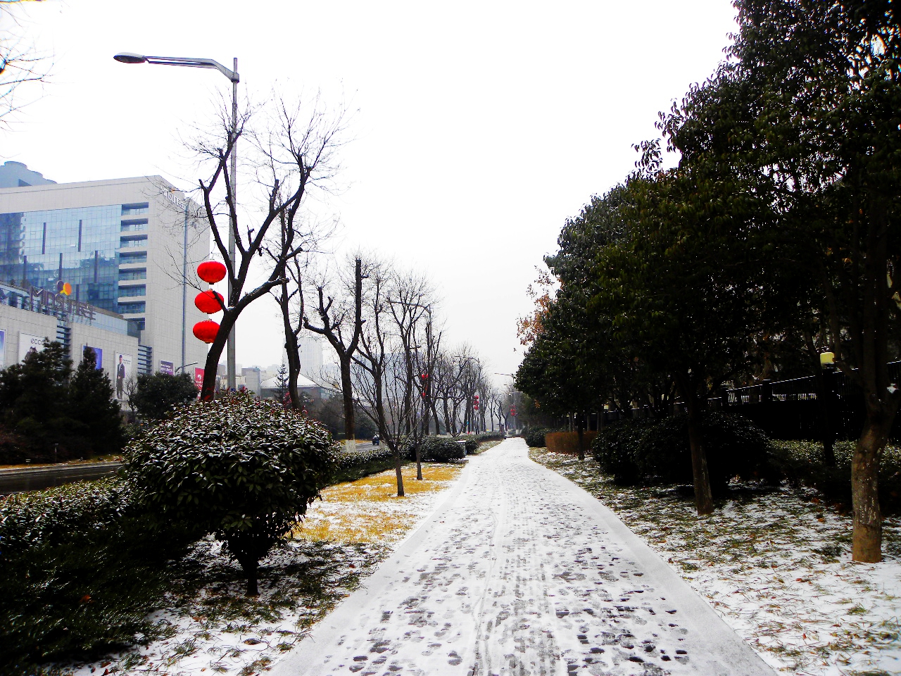 DSCN2086.JPG