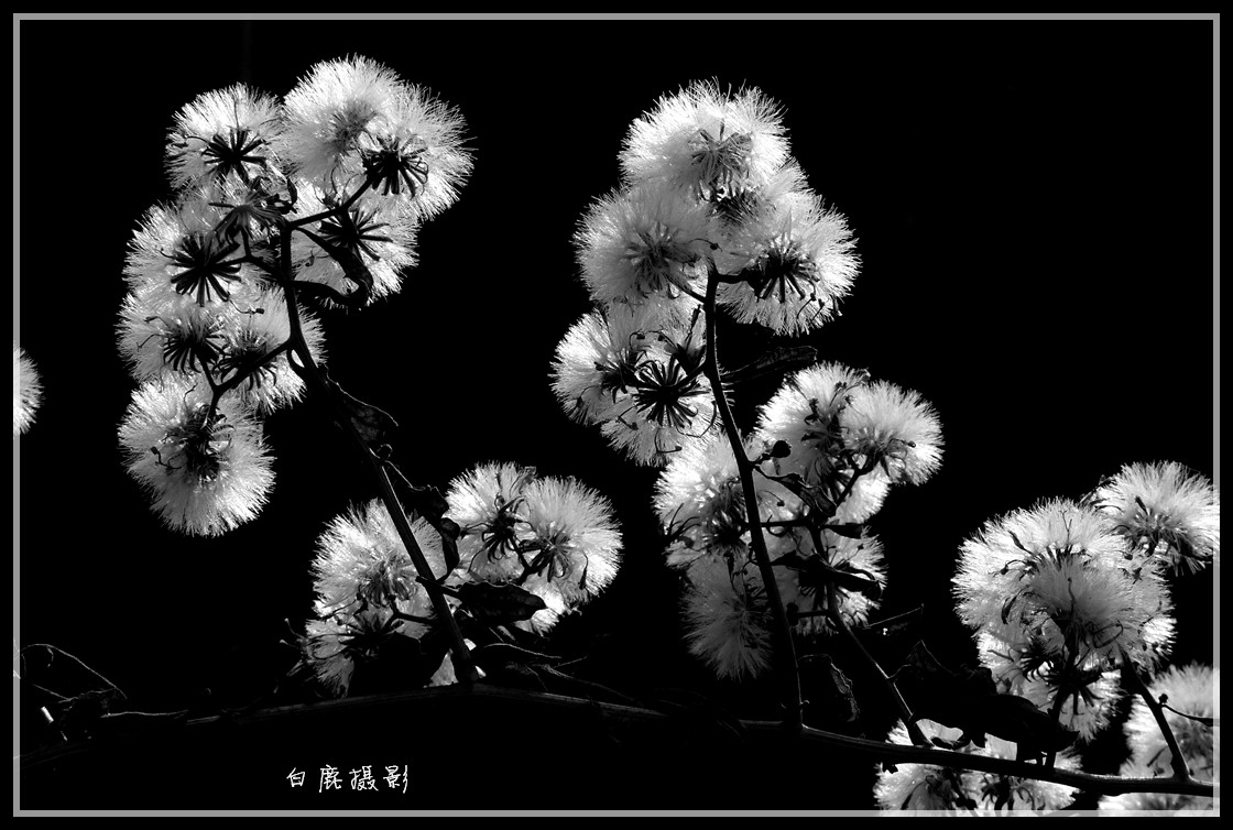 P1280120_副本.jpg