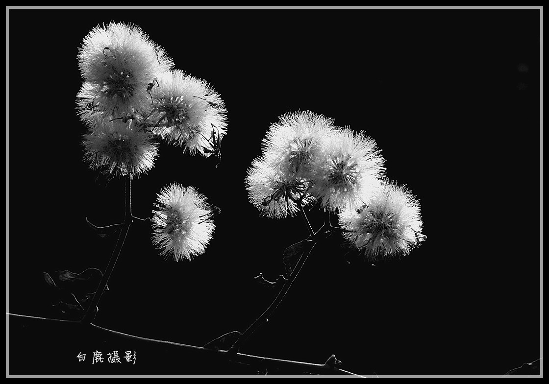 P1280127_副本.jpg
