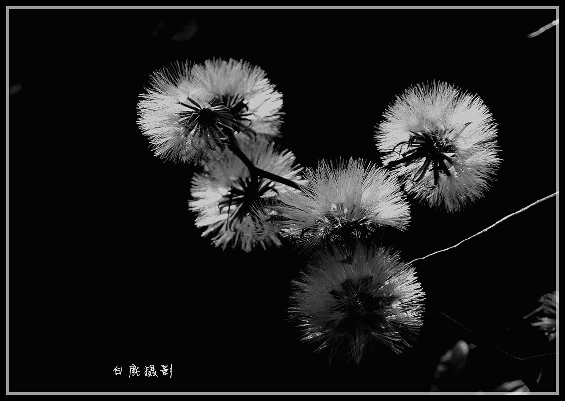P1270996_副本.jpg
